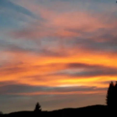 Waldidyll 게스트하우스