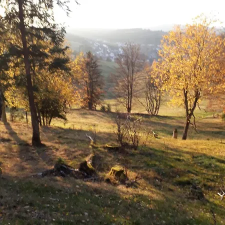 Waldidyll Stützerbach